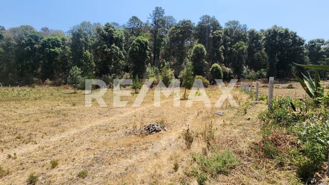 Terreno en Venta