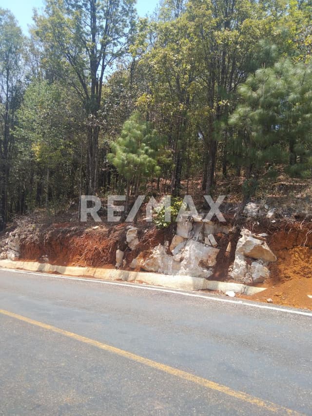 Terreno en venta a orilla de carretera.