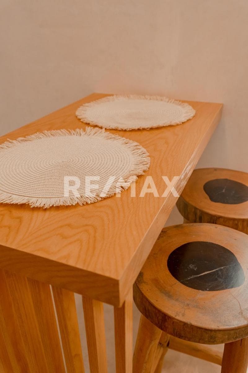 DEPARTAMENTO EN PLANTA BAJA CON PLUNGE POOL 