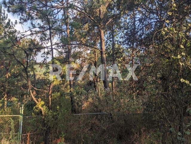 Terreno en Venta 