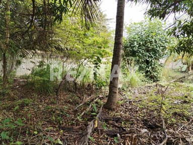 property image preview1