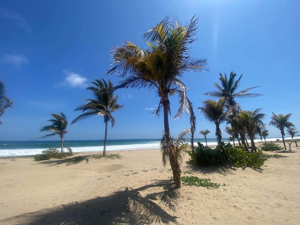Fotos adicionales