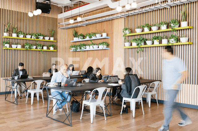 Oficina en renta en Av. Insurgentes Sur en Colonia Nápoles