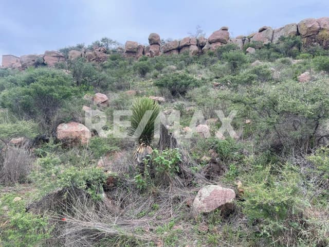 Terreno en venta en la Colonia del Bosque Excelente Vista panorámica y Ubicación