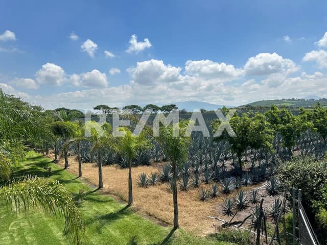 Terreno en venta Ixtlahuacán de los Membrillos