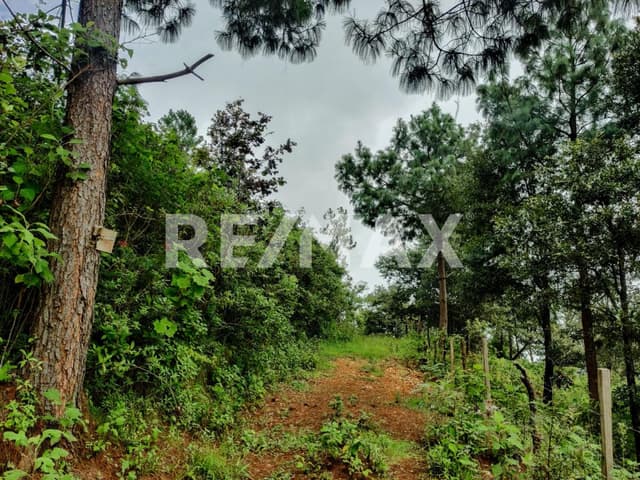 Terreno en venta