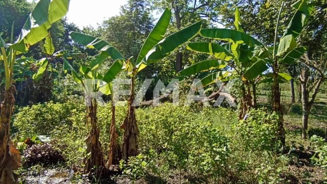 TERRENO EN VENTA ANACLETO CANABAL 3RA SECCIÓN