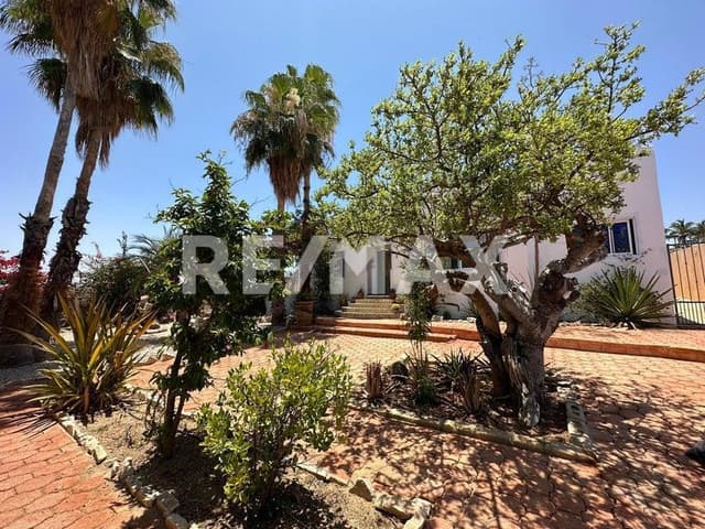 Casa Huerta Cornucopia