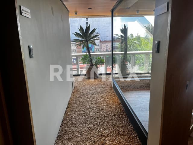 Oficinas en renta en Avenida Álvaro Obregón en Col. Roma Norte