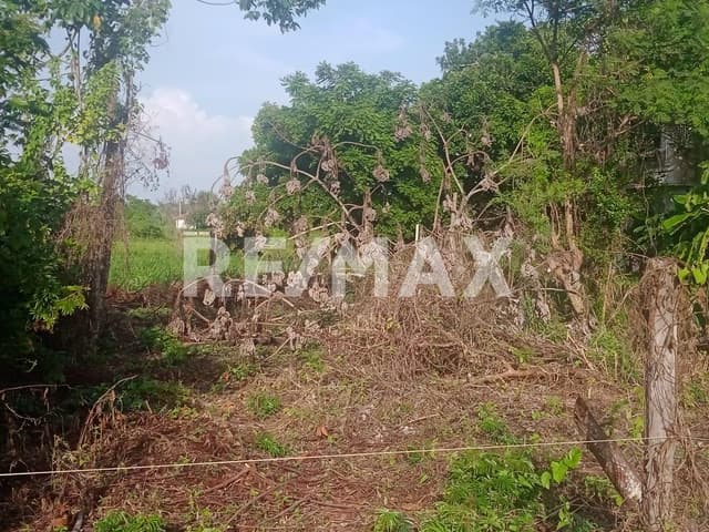 TERRENO EN VENTA VILLA PARRILLA