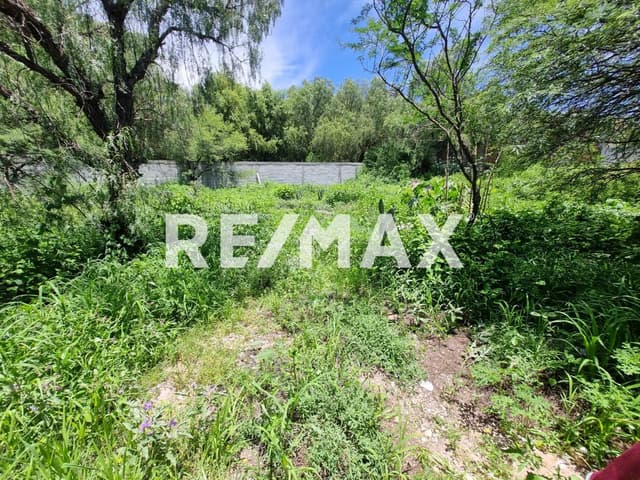 TERRENO EN VENTA EN AMAZCALA TEQUISQUIAPAN ALFAJAYUCAN