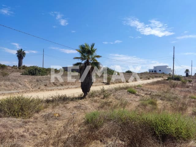 CAMPO REAL TERRENO EN VENTA