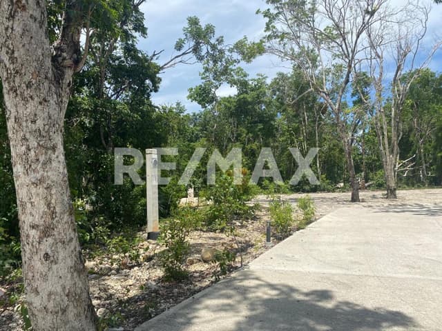 EN VENTA TERRENOS RESIDENCIALES EN TULUM