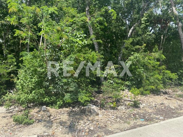 EN VENTA TERRENOS RESIDENCIALES EN TULUM