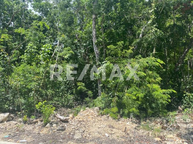 EN VENTA TERRENOS RESIDENCIALES EN TULUM