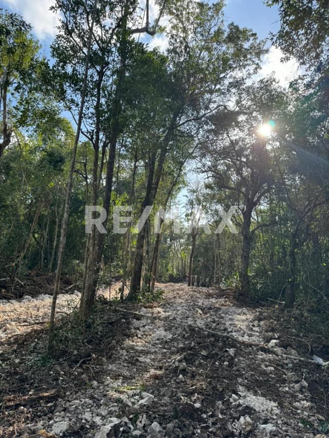 LOTE 1011 SELVADENTRO FASE E1 COS 35% CUS 70%