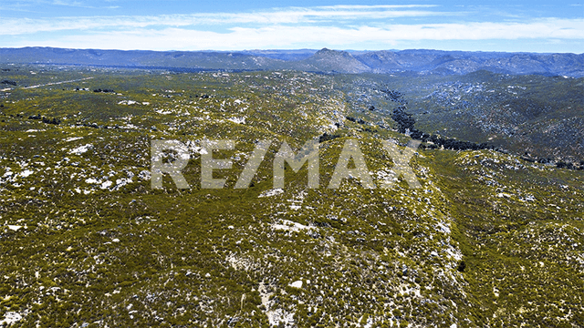 TERRENO RUSTICO EN VENTA EN TECATE, BAJA CALIFORNIA