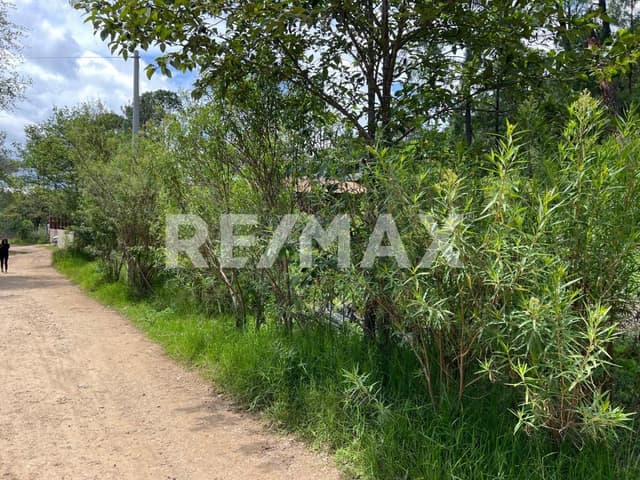 Se vende terreno plano en Corral de Piedra, San Cristóbal de Las Casas