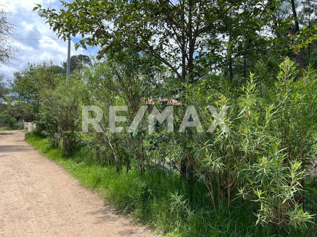 Se vende terreno plano en Corral de Piedra, San Cristóbal de Las Casas