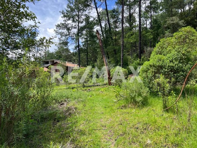 Se vende terreno plano en Corral de Piedra, San Cristóbal de Las Casas