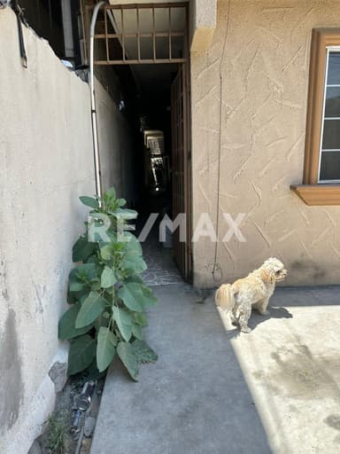 property image preview1