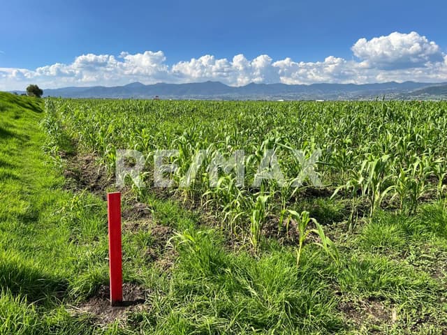 Terreno en venta en el Cerrillo, Toluca, Estado de México