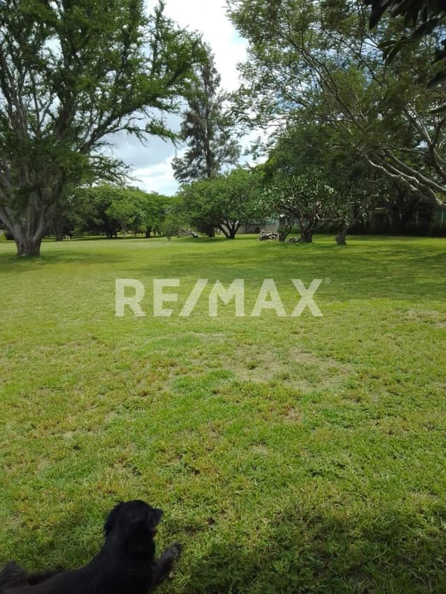 Terreno Ejidal Urbanizado en Venta en Animas Trujano