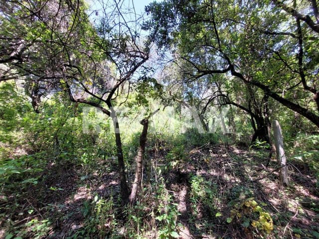 Terreno en Venta en "La Paunta" Bosques de las Lomas 