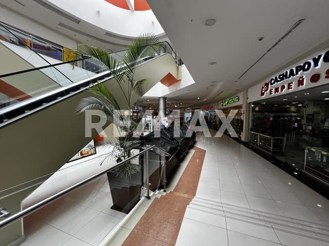 Local en renta Tiendas San Esteban Calzada San Esteban Colonia San Esteban