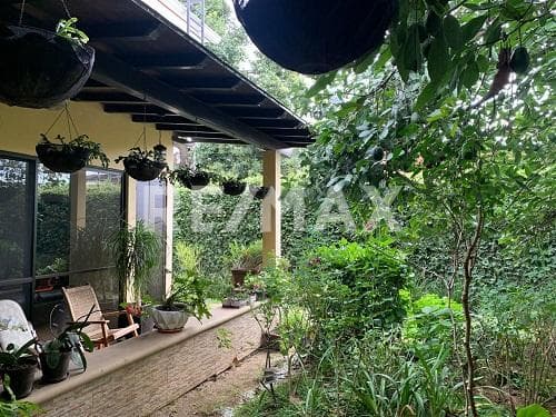Fotos adicionales