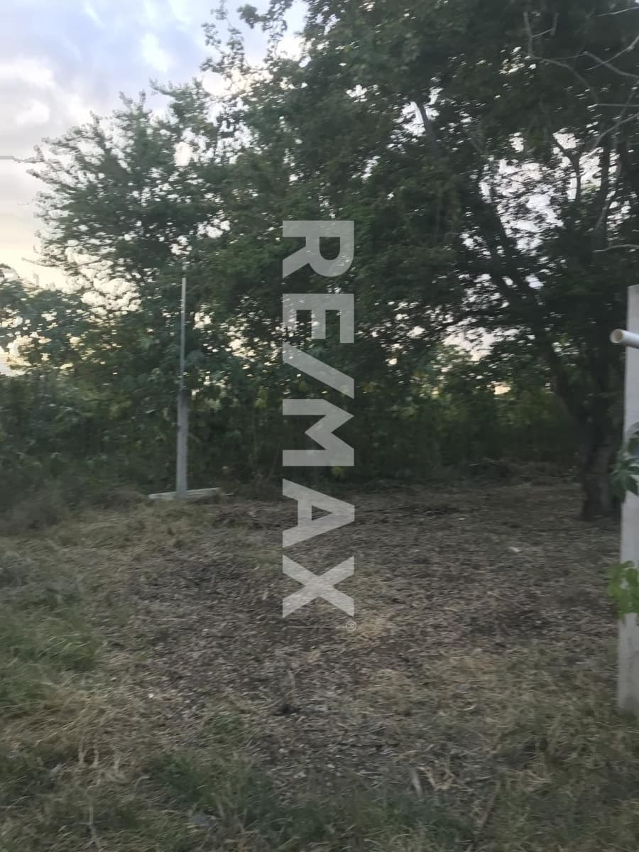 Fotos adicionales