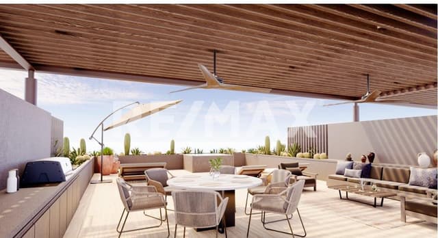 Mare, D-210 San José del Cabo, Zona Hotelera