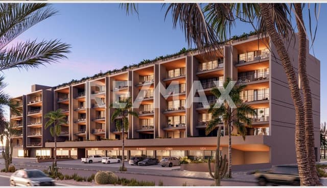 Mare, D-210 San José del Cabo, Zona Hotelera