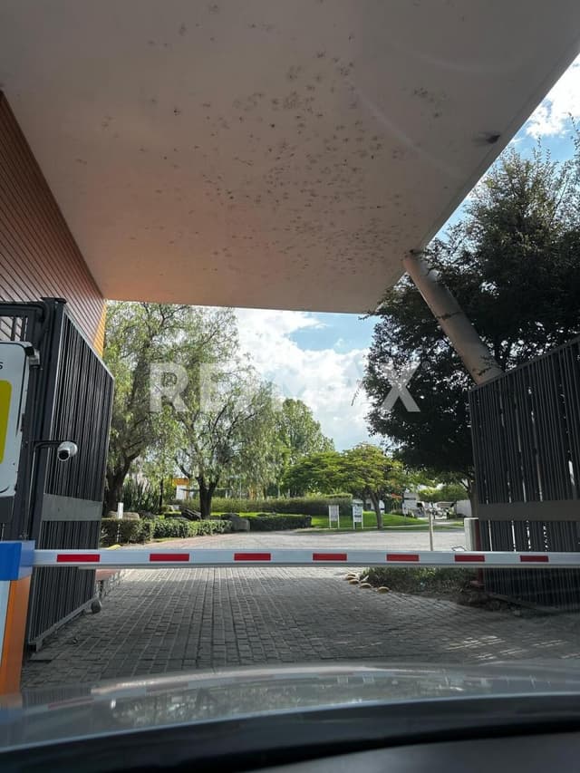 TERRENO EN VENTA EN SOLARES