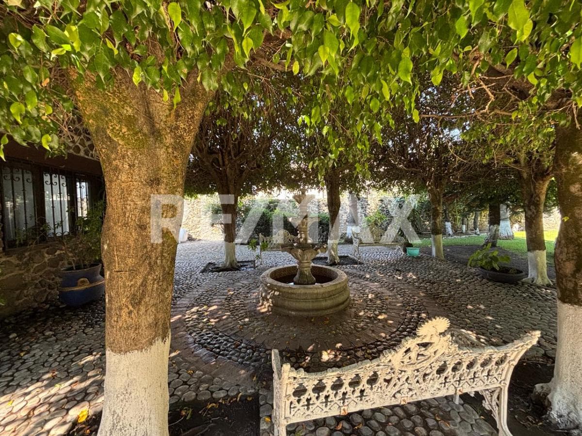 Fotos adicionales