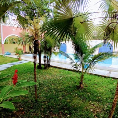 property image preview1