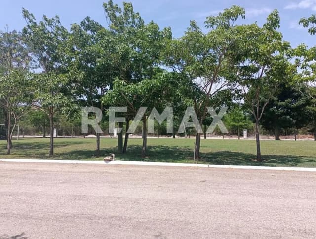 TERRENO EN VENTA EN PRIVADA EN PROGRESO