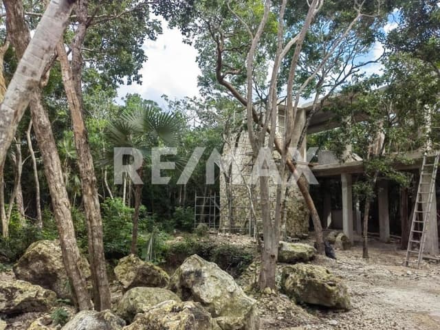 Villa in a private paradise with Cenote front the beach – 6 bedrooms – Akumal