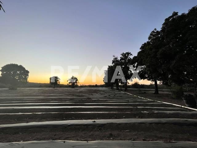 Todos Santos Rancho CAÑADA HONDA C. Pitahaya, La Paz
