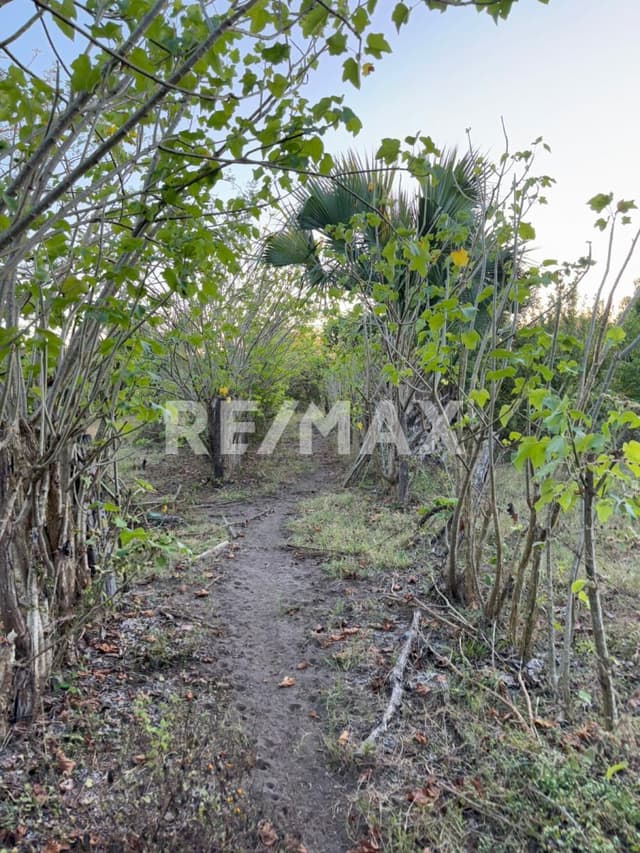 Excelente oportunidad para invertir