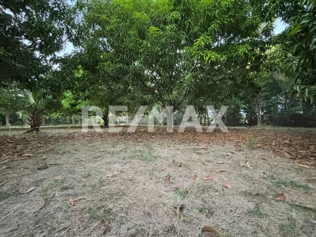 Excelente oportunidad para invertir