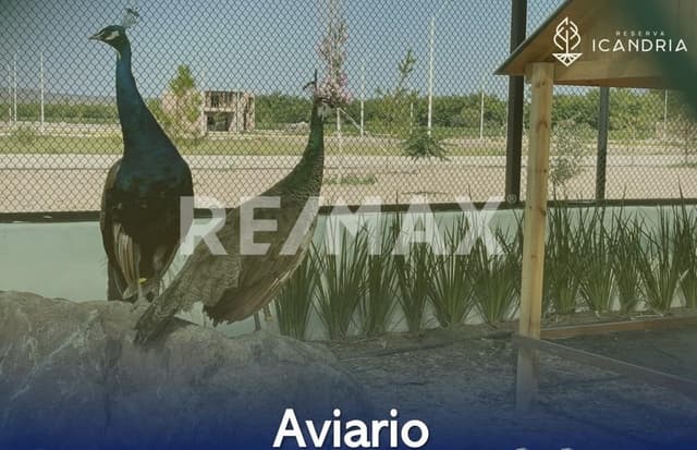 Terreno en Venta primera etapa Reserva Icandria