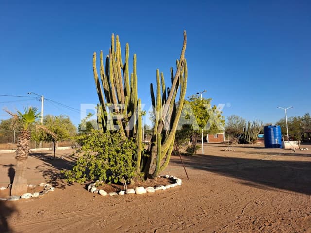 Terreno campestre en venta en Haciendas del Real, den Hermosillo, Sonora.