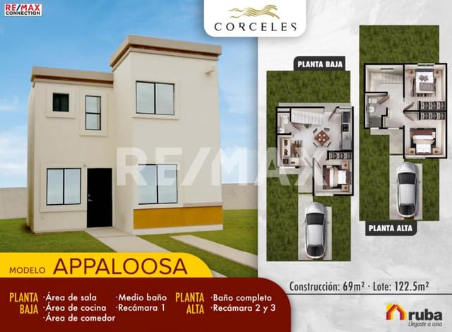 CORCELES - APPALOOSA