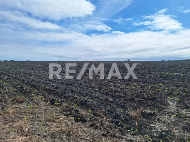 Terreno en Venta, Col. Americana, Altamira