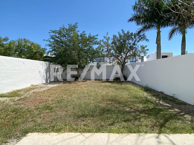 Casa en Renta con 1 hab. en PB, Salomea, Conkal, Yucatán