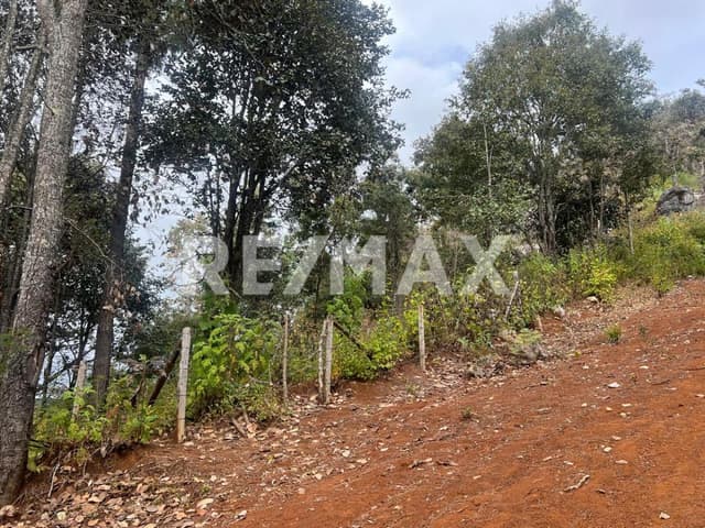 Se vende terreno en San José Bocomtenenlté, en San Cristóbal de Las Casas