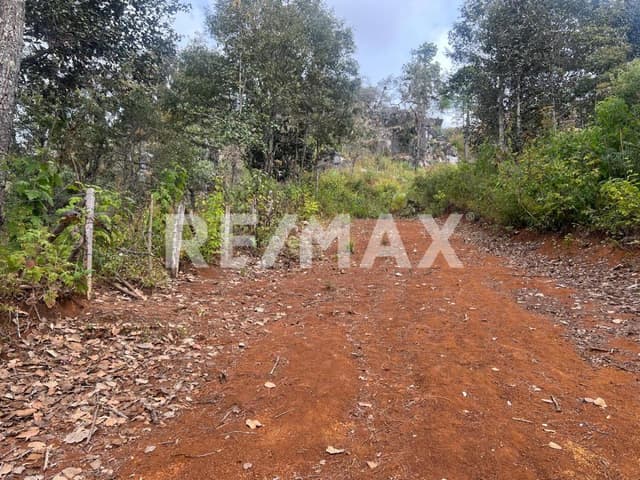 Se vende terreno en San José Bocomtenenlté, en San Cristóbal de Las Casas