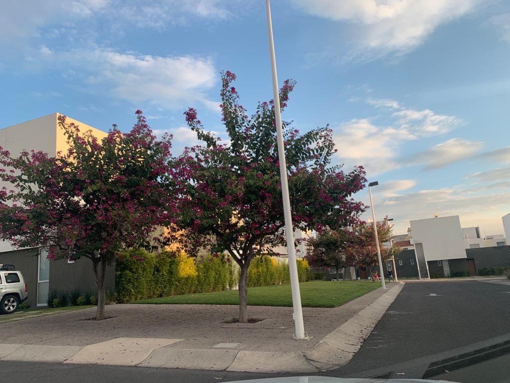 Fotos adicionales