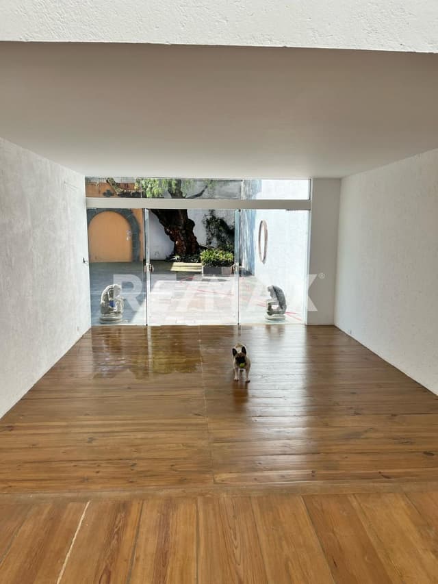 Casa en Renta, San Angel